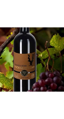 Italian Dry Red Wine
