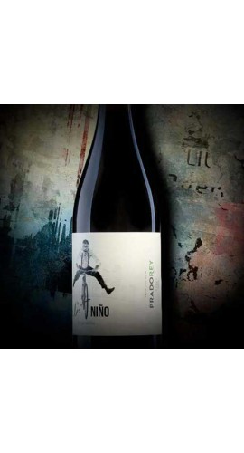 High quality Spanish organic red wine from Ribeira del Duero
