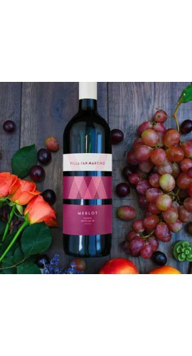 High quality Italian Cabernet Sauvignon fine dry red wine