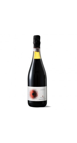 High quality Italian sparkling red wine